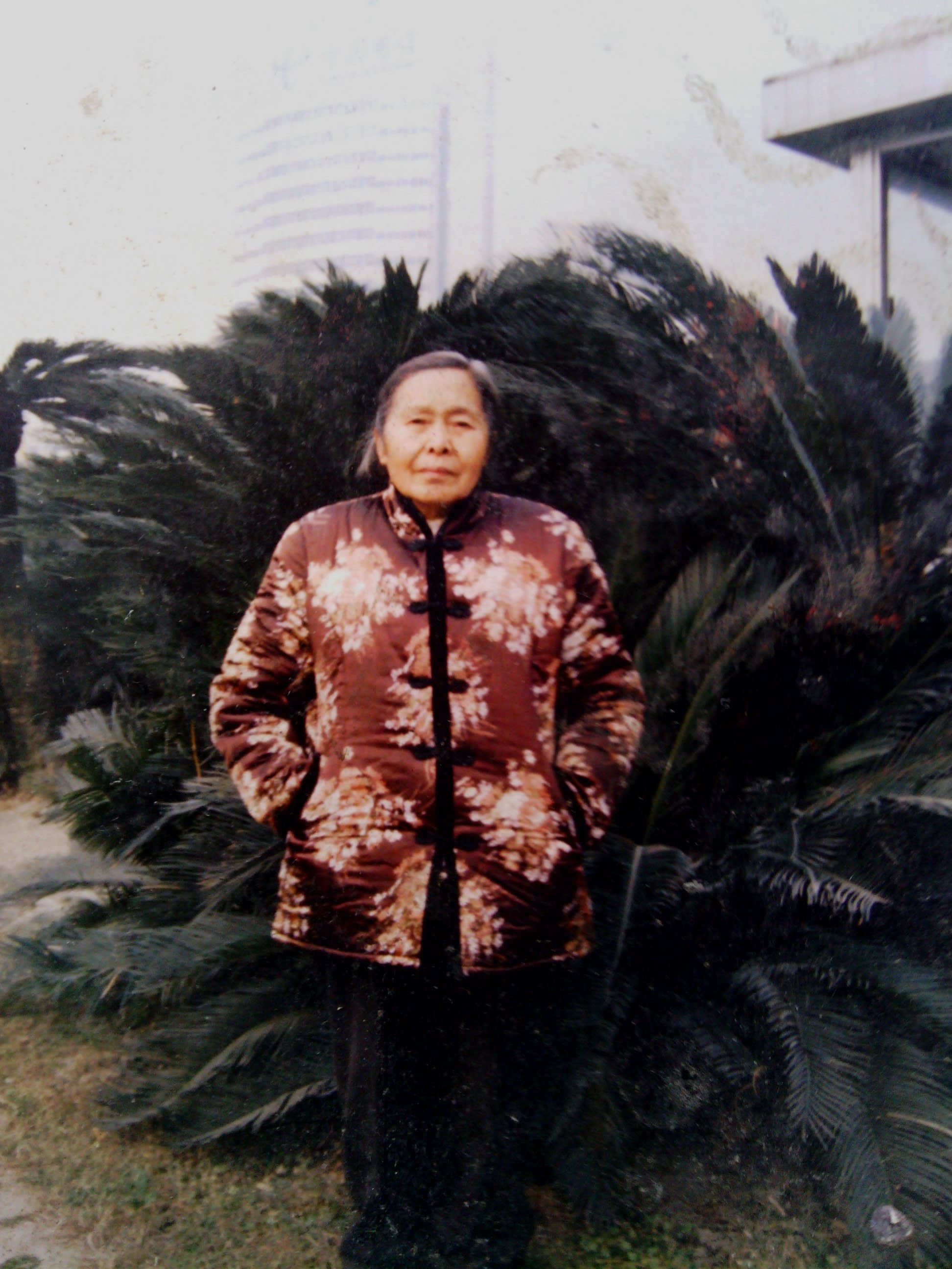 沉痛悼念婆婆