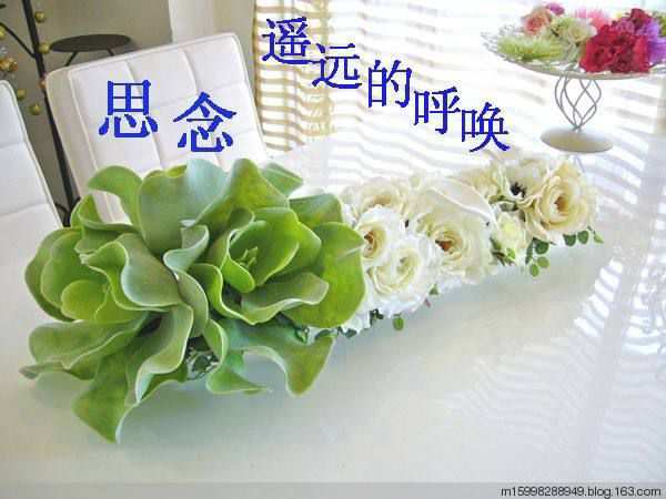 add49ff60f794e13863e965c99172f85.jpg