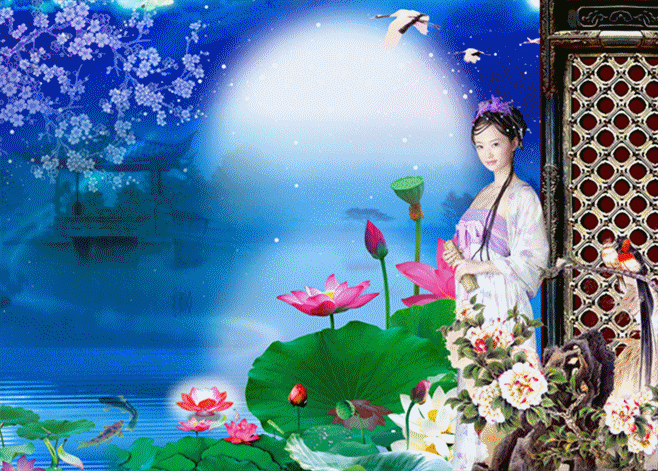 658_471gif 动态图 动图