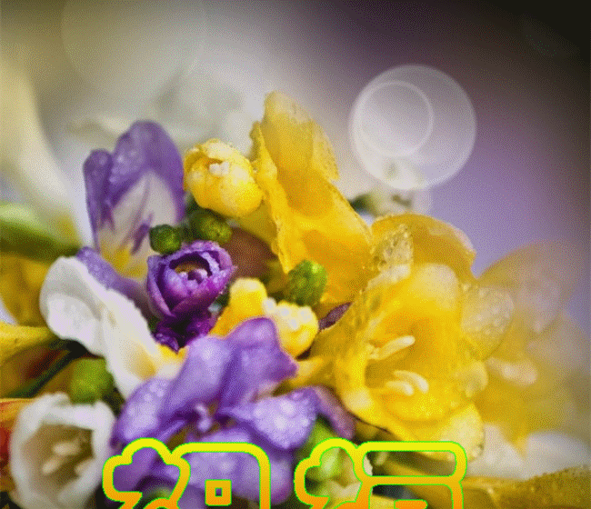 1212.gif