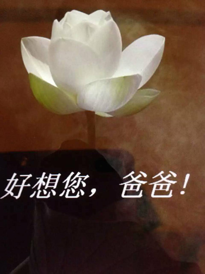 爸爸:为您祈福!平安健康吉祥!