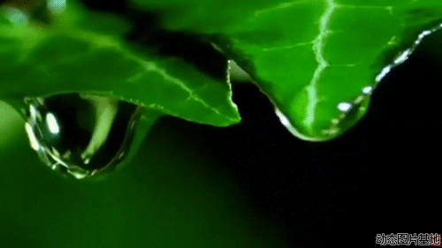 天津爆炸事故牺牲的消防英雄宁子默