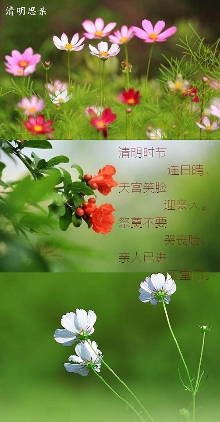 清明网祭,寄托我们的哀思.英雄的孩子们,人民永远纪念你们.